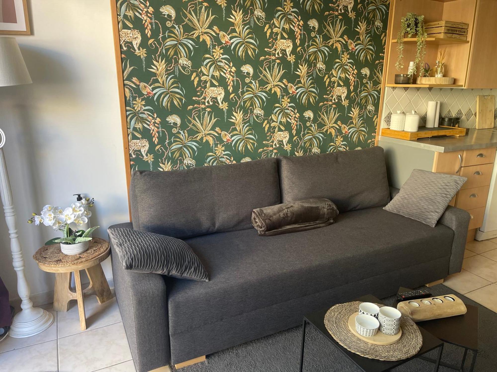 Duplex Cosy Bord De Mer 滨海圣西尔 外观 照片